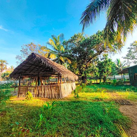 Wilpattu Green Cabin Achchamulai Exterior photo
