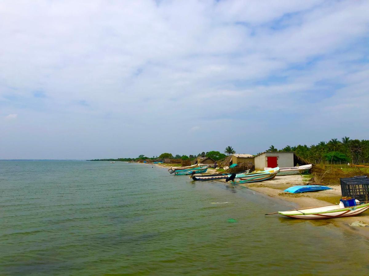 Wilpattu Green Cabin Achchamulai Exterior photo