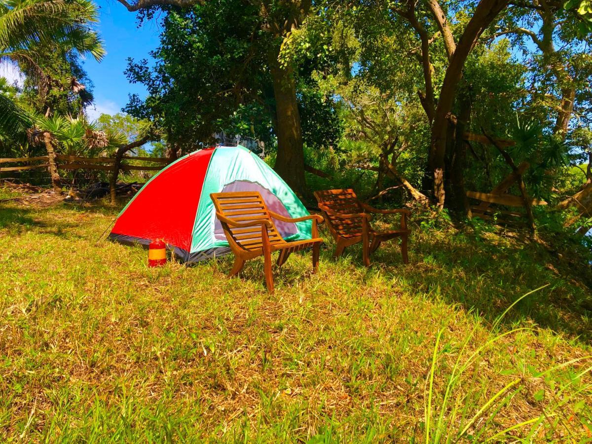 Wilpattu Green Cabin Achchamulai Exterior photo