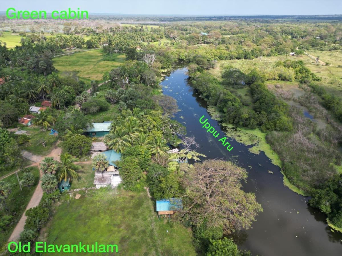 Wilpattu Green Cabin Achchamulai Exterior photo