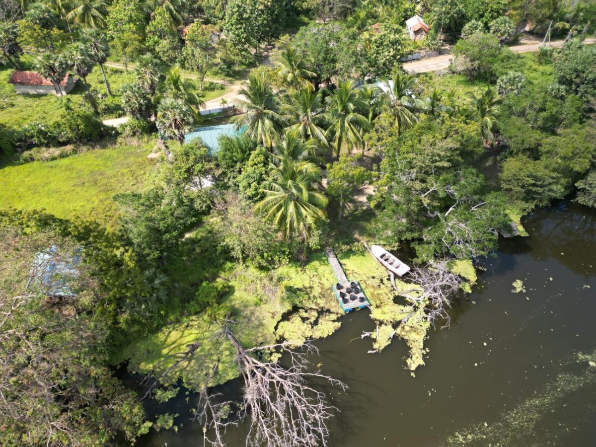 Wilpattu Green Cabin Achchamulai Exterior photo