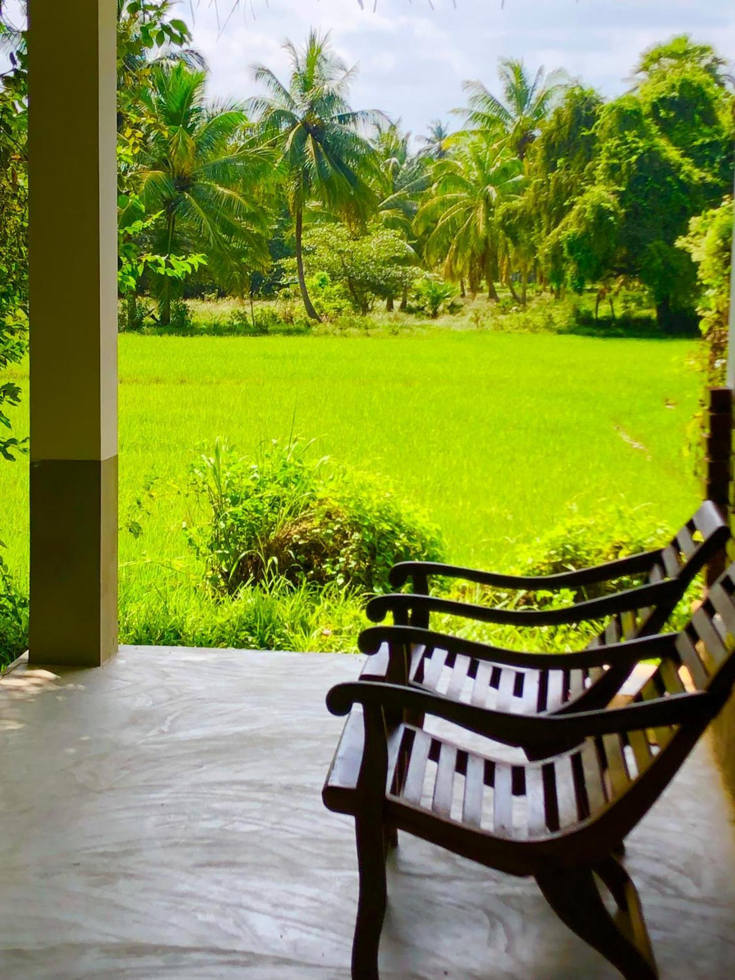 Wilpattu Green Cabin Achchamulai Exterior photo