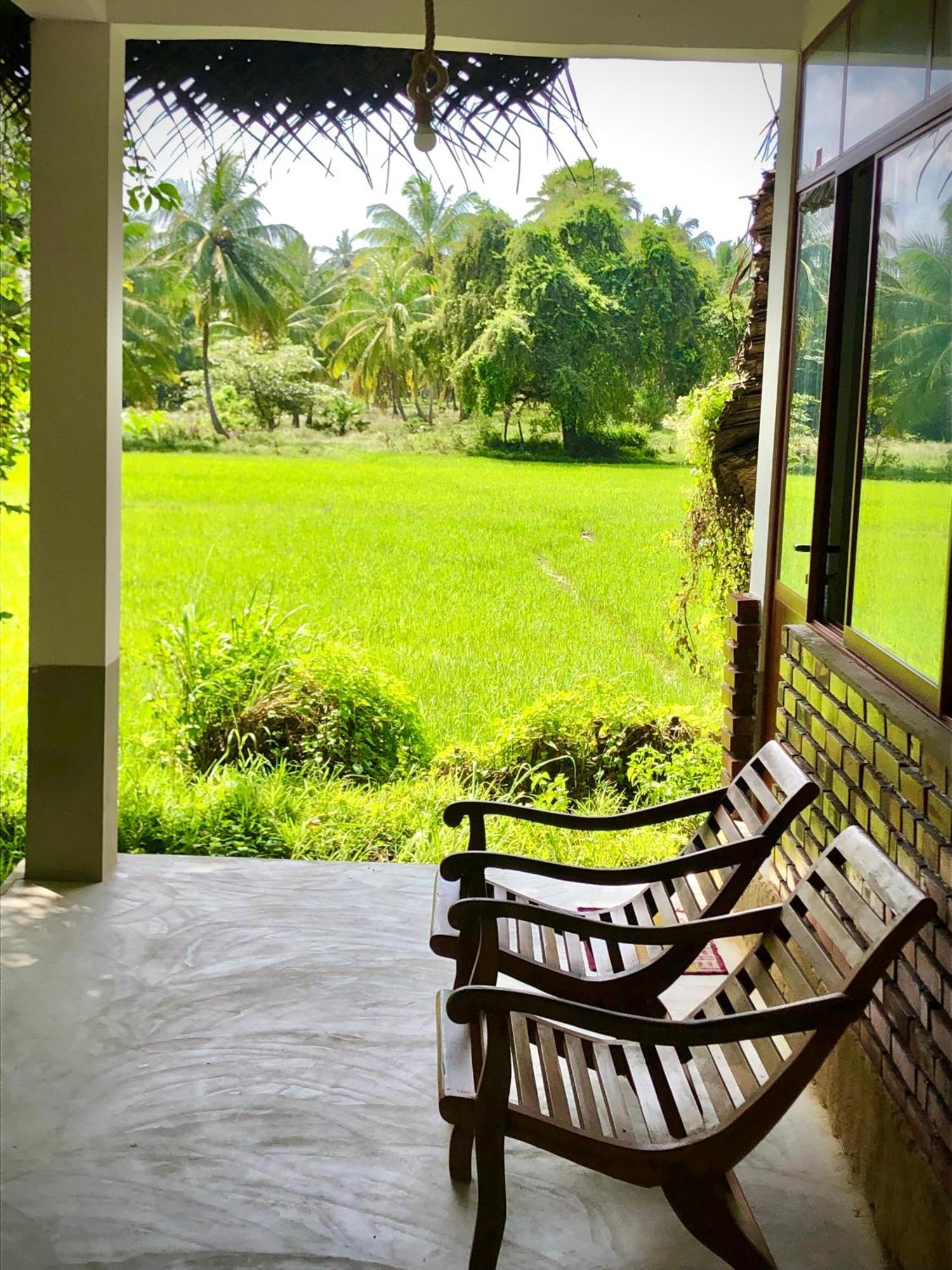 Wilpattu Green Cabin Achchamulai Exterior photo