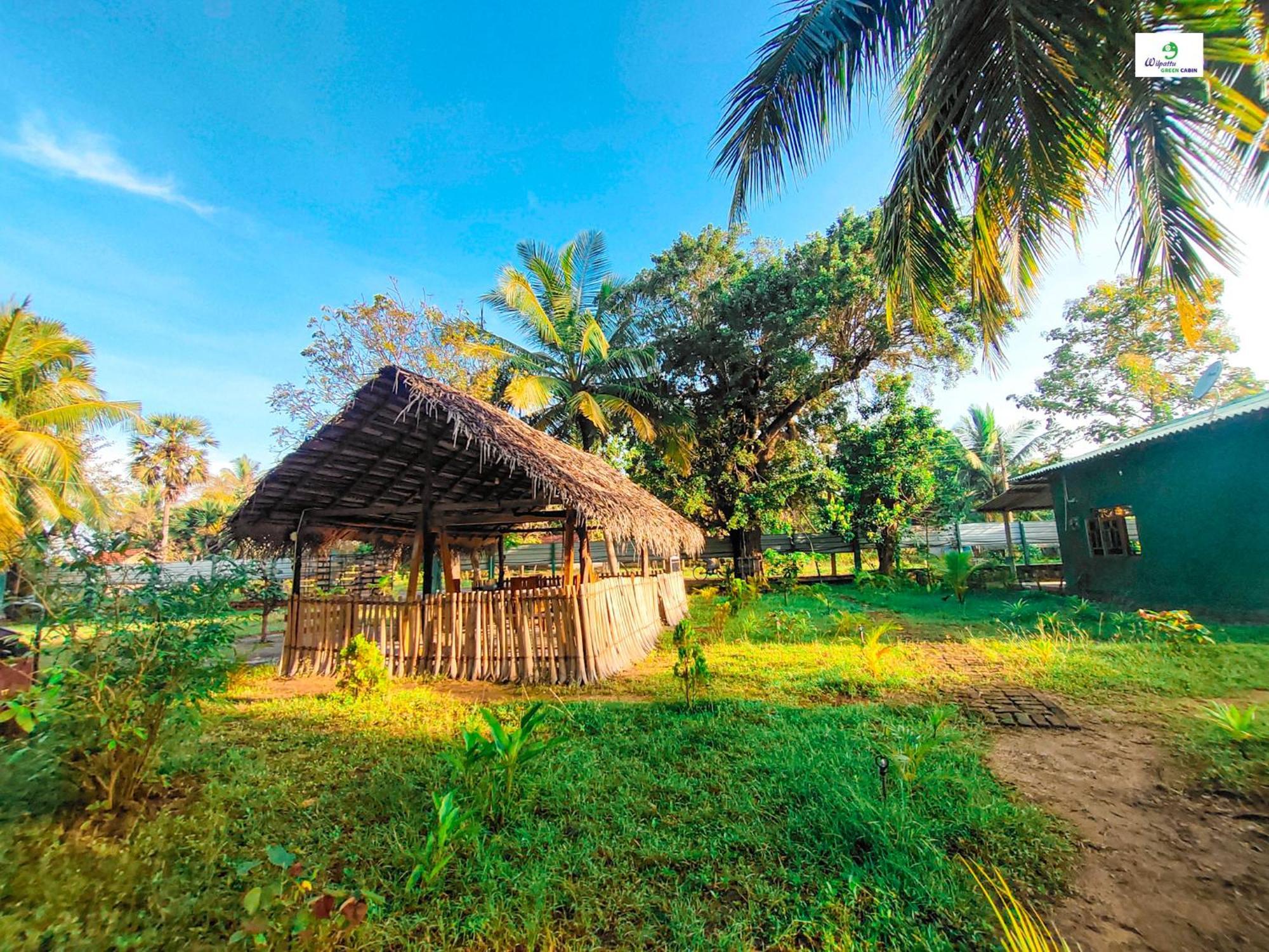 Wilpattu Green Cabin Achchamulai Exterior photo